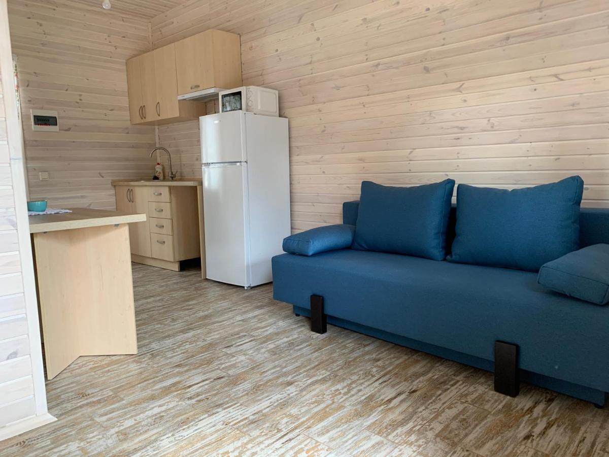 ожина Apartment Shatsk